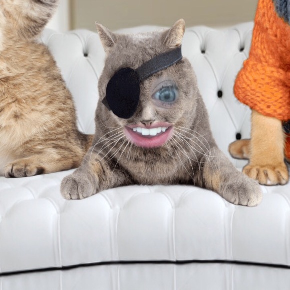 Meet your Posher, Noelani - Picture 1 of 1