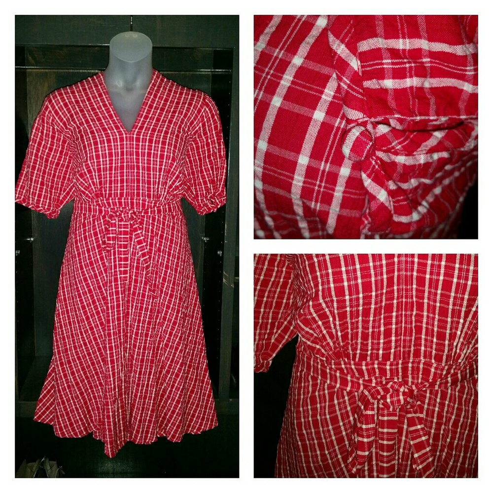 Cotton Poplin Red Gingham Dress