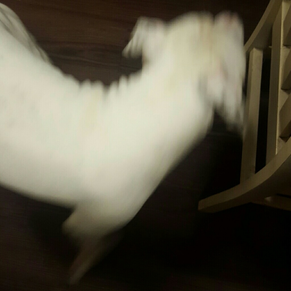 Meet your Posher, Patricia