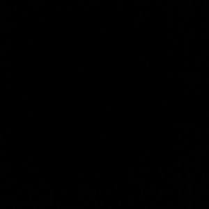 Meet your Posher, Adrian