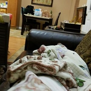 Meet your Posher, Zayn