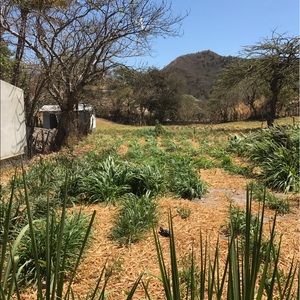 Meet your Posher, Lee