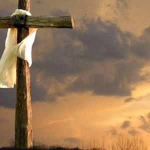 Meet your Posher, Kristi