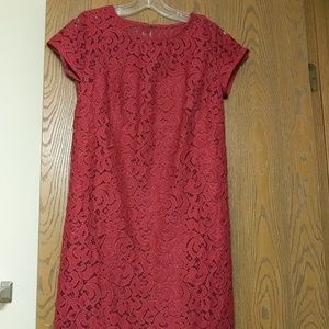 Loft ss lace dress