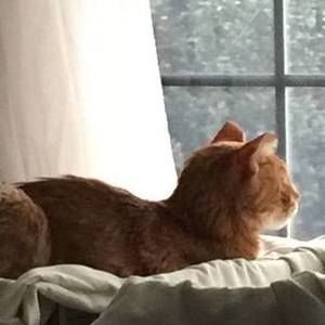 Meet your Posher, Alison