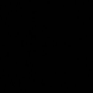 Meet your Posher, Aurora