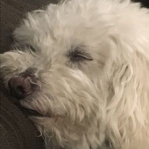 Meet your Posher, Lori