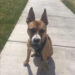 Meet your Posher, Claire