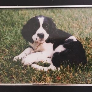 Meet your Posher, Leslie