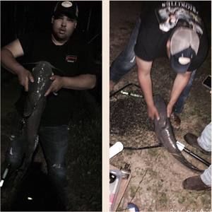 Meet your Posher, Kevin