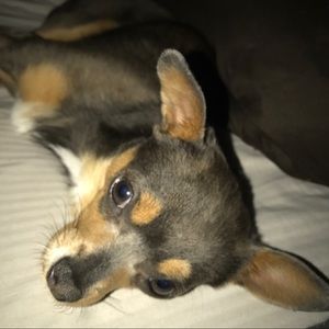 Meet your Posher, Amber