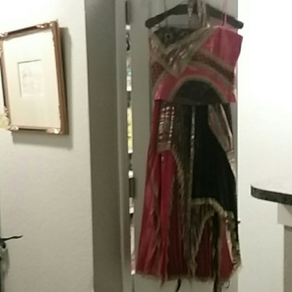 Vintage Gown you won't see 2 of