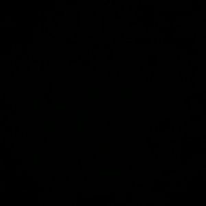 Meet your Posher, Savannah