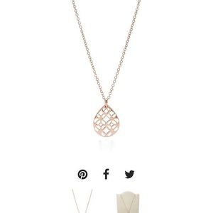 Silver fossil necklace