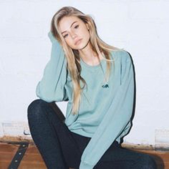 Brandy Melville Sweaters - Brandy Melville Erica sweatshirt