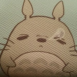 Meet your Posher, Raquel