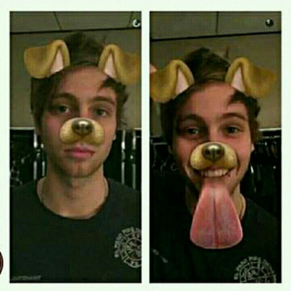 Meet your Posher, Zoe - Picture 1 of 1