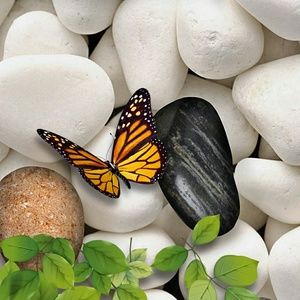 Meet your Posher, Cara