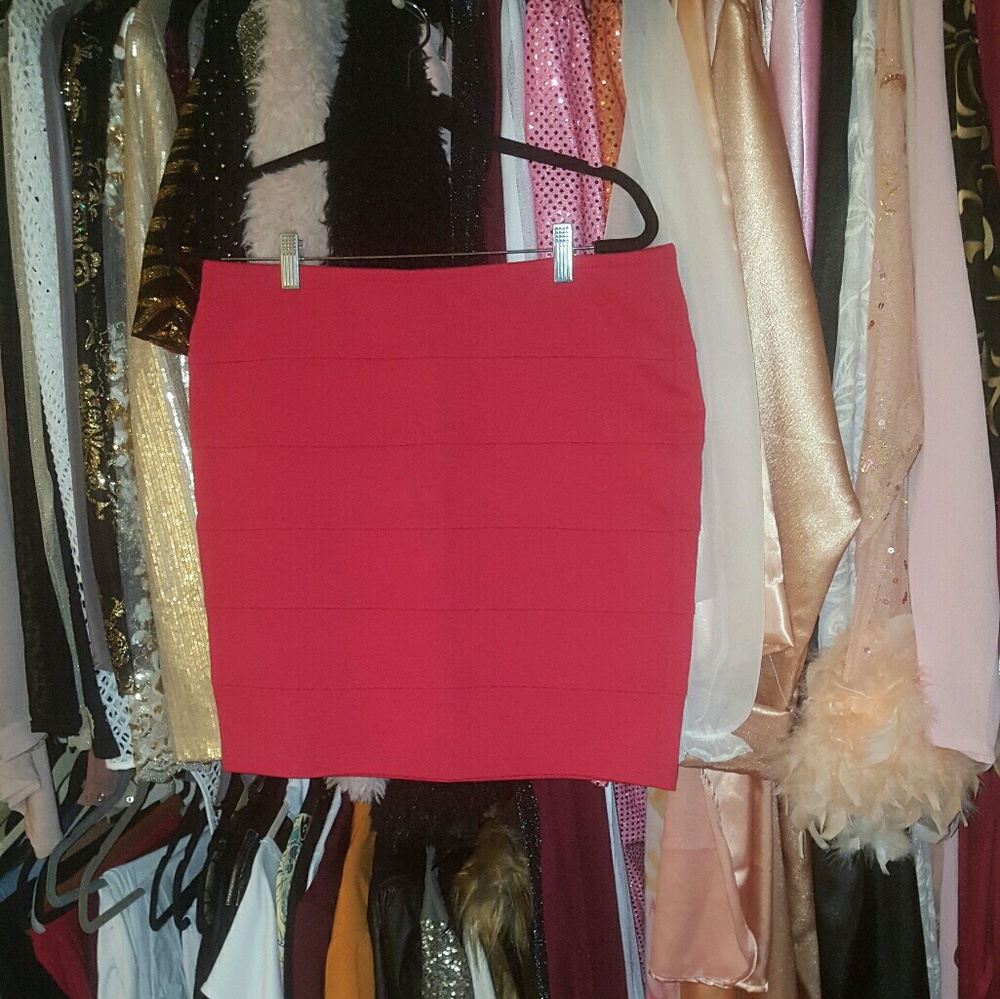 Bodycon  Skirt