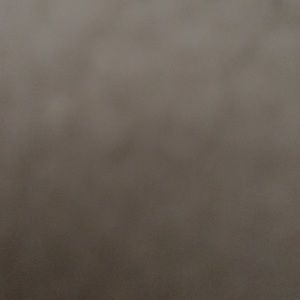 Meet your Posher, Alec