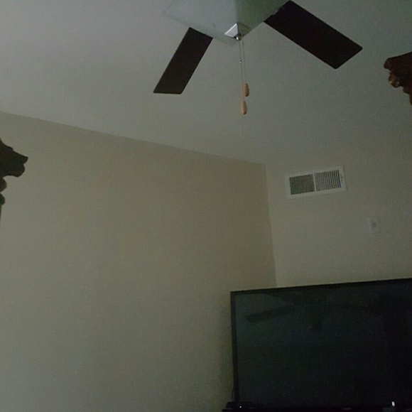 Meet your Posher, Latoya - Picture 1 of 1