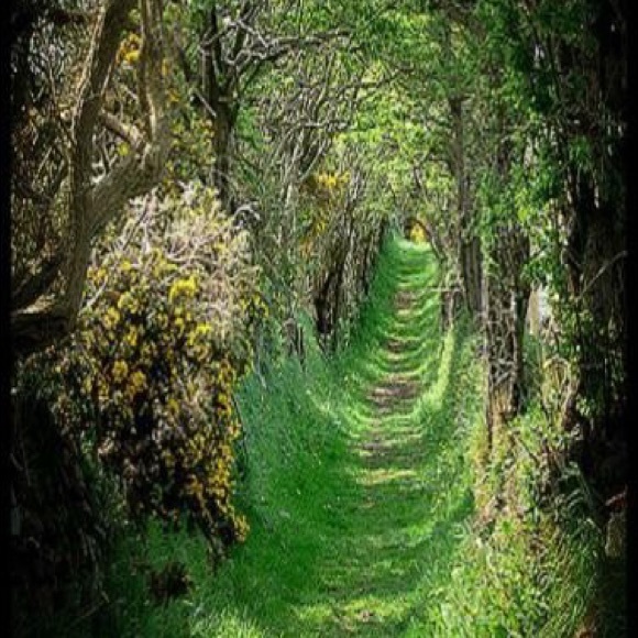 Welcome - Picture 2 of 7