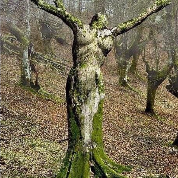 Welcome - Picture 4 of 7