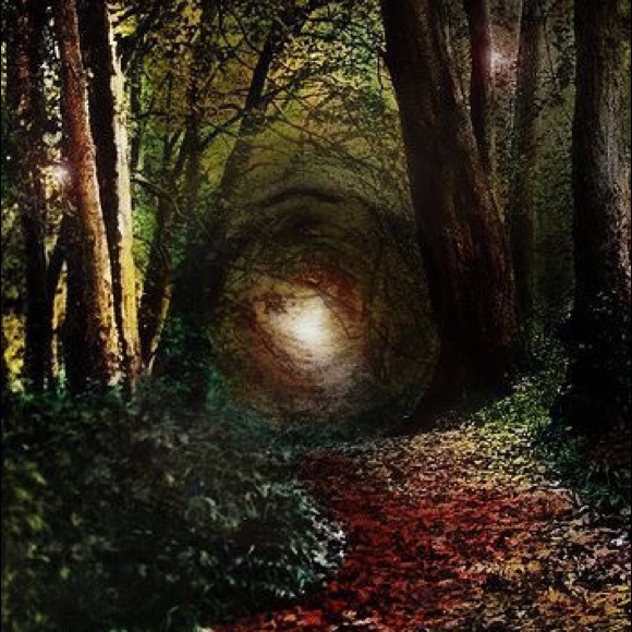 Welcome - Picture 6 of 7