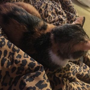 Meet your Posher, Lexie