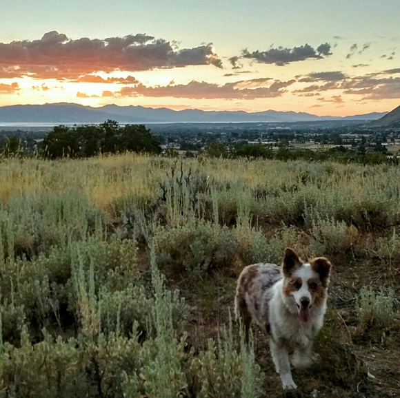 Meet your Posher Lisa - Picture 5 of 11