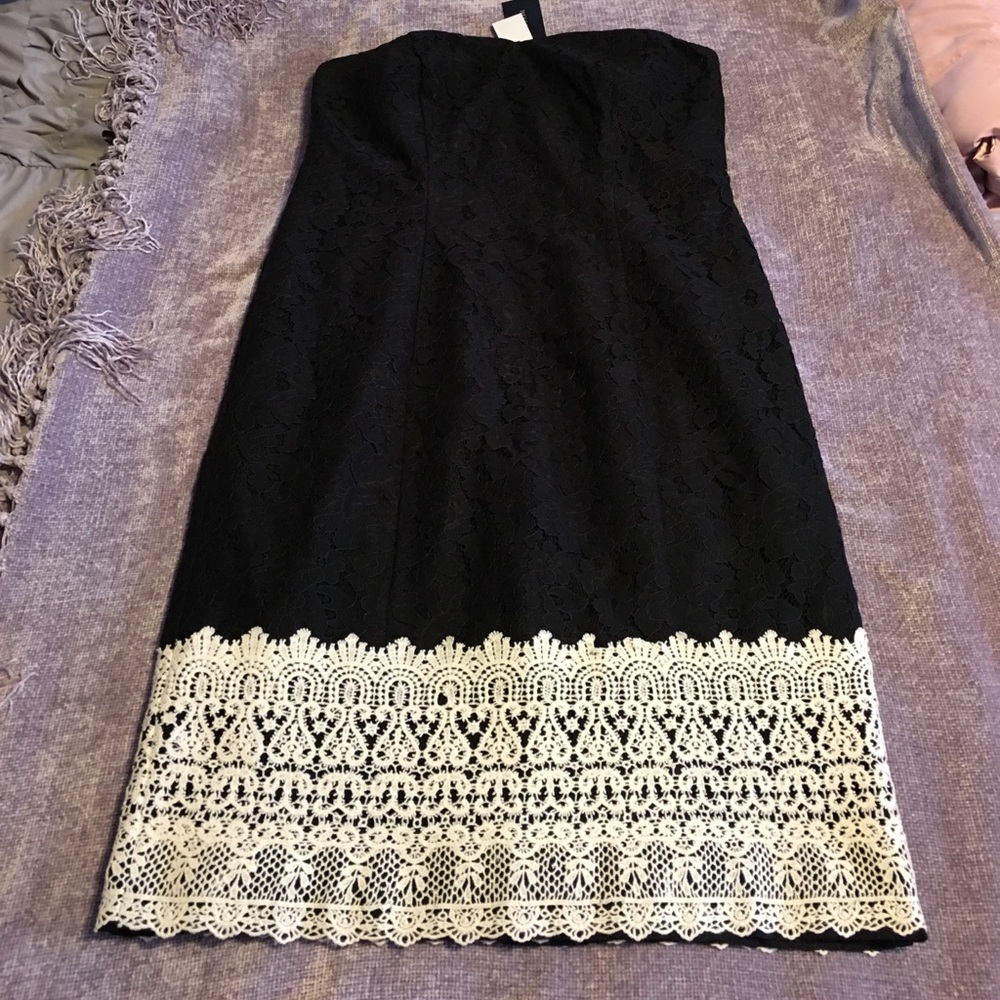 🆕NWT🆕Ann Taylor lace dress