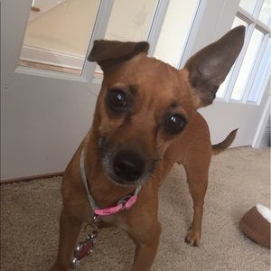 Meet your Posher, Julissa