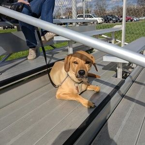 Meet your Posher, Cody