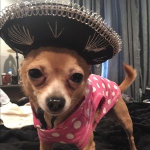 Meet your Posher, Ann