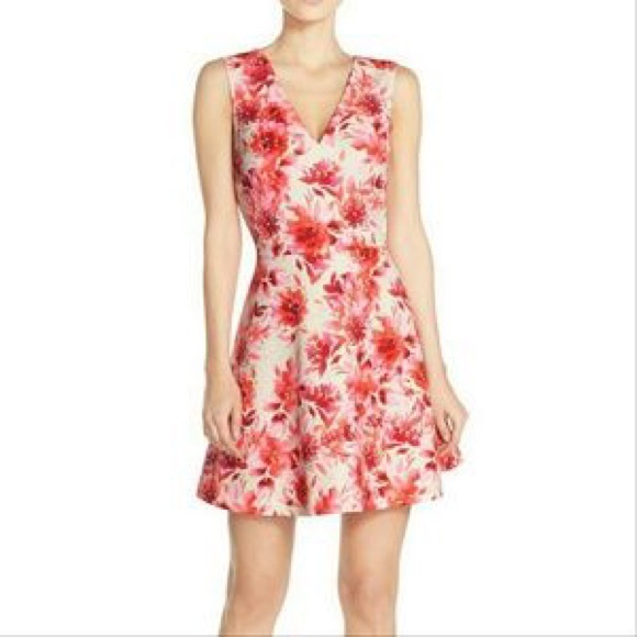Felicity & Coco Ivory and Pink Floral Dress - Picture 1 of 5