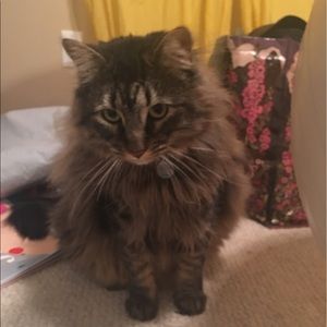 Meet your Posher, Kristin