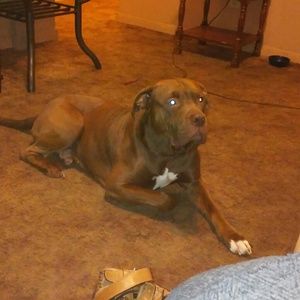 Meet your Posher, Jamie