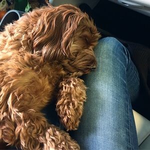 Meet your Posher, Michelle