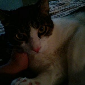 Meet your Posher, Brianah