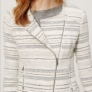 Ann Taylor LOFT striped tweed cream moto jacket