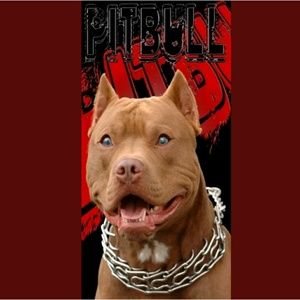 Pitbull Beach towel