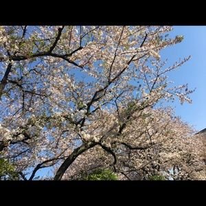 Meet your Posher, Pouran