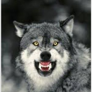 Meet your Posher, Devin