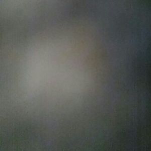 Meet your Posher, Rita