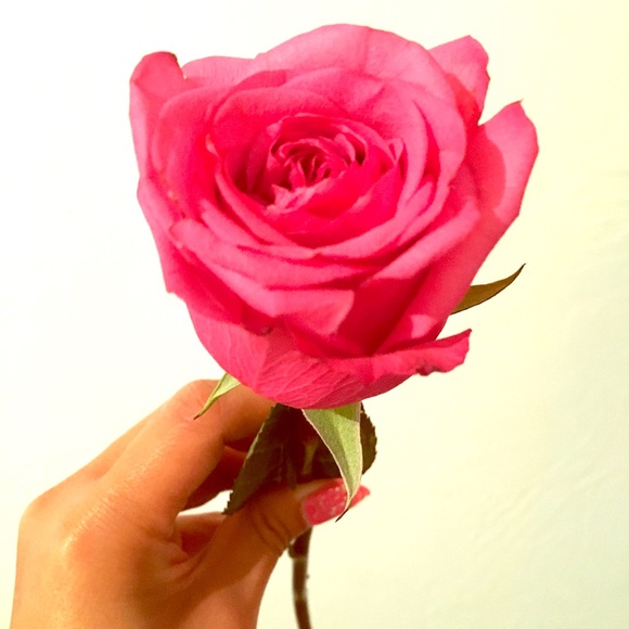 Meet your Posher, Cutiepie - Picture 2 of 2