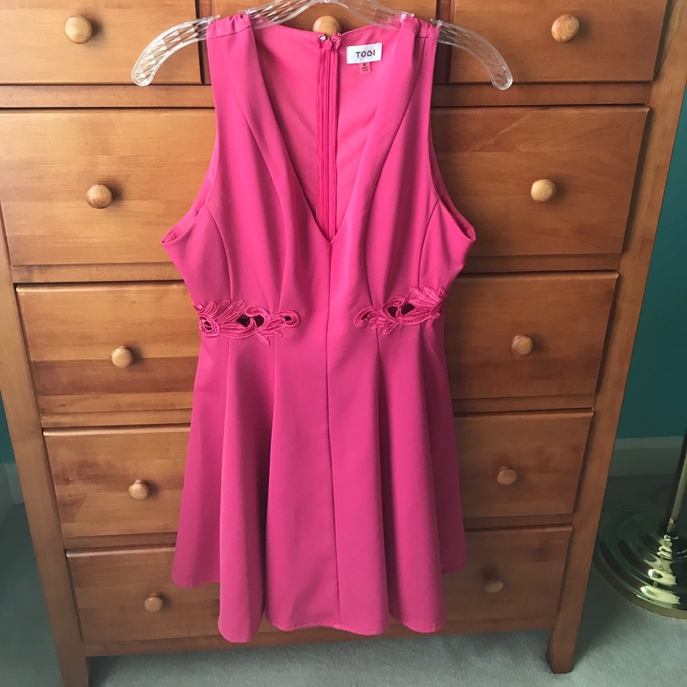 Tobi Pink Skater Dress