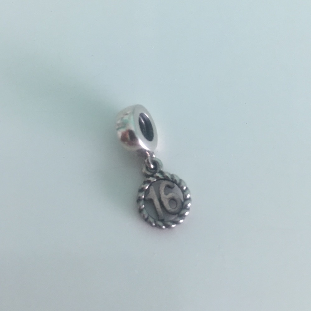 Pandora bracelet charm