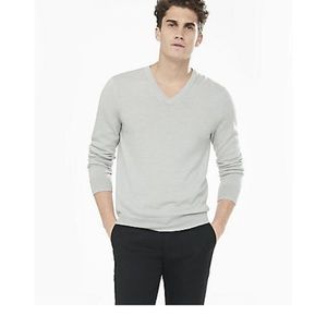 NWT Express Extra Fine Merino Wool V-neck Sweater