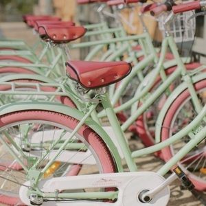 Meet your Posher, Kinley