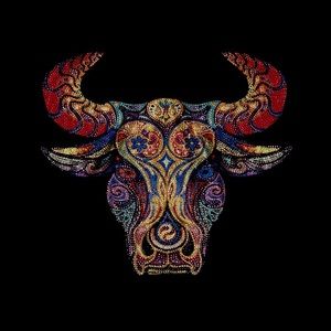 Meet your Posher, Gaby